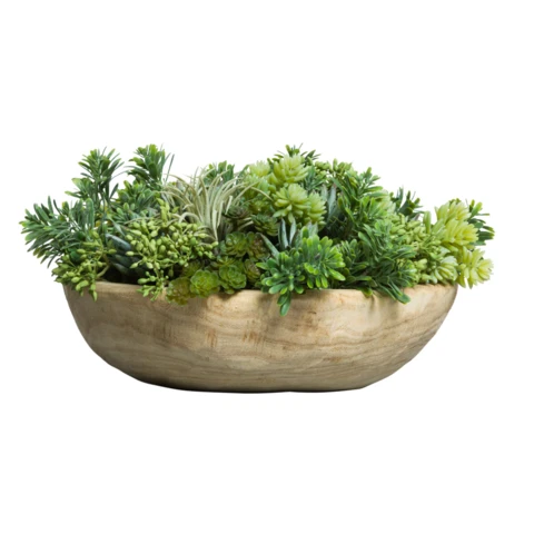 Микс суккулентов в деревянном блюдце, В 10
Д 25