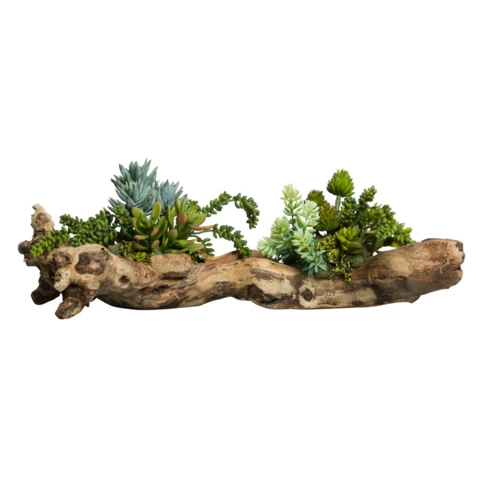 Микс суккулентов в дереве, Д 43 Ш 16 В 18