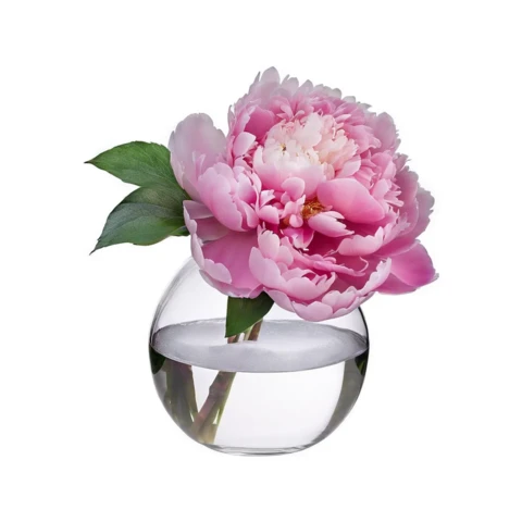 Пион в стеклянной вазе, В 14