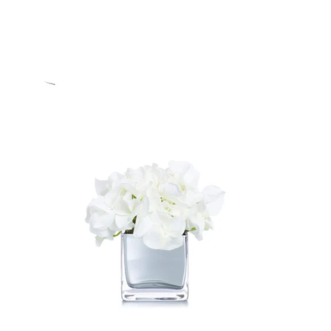 Орхидеи мини, Белые В 16