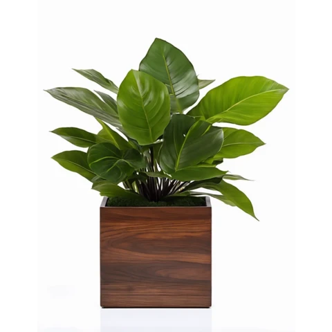 Кашпо с искусственной Алоказией №22, В30*Д15*Ш15