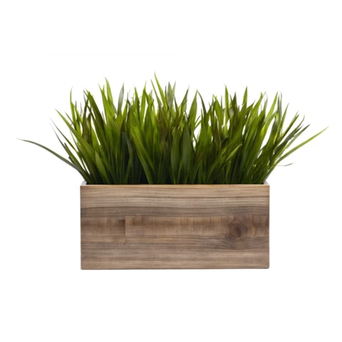 Осока искусственная в кашпо №31, В20*Д30*Ш15