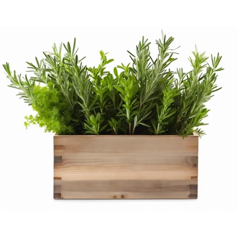 Кашпо с искусственным Кроссостефиумом №32, В20*Д30*Ш15