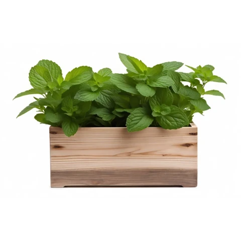 Кашпо с искусственной мятой №33, В17*Д30*Ш15