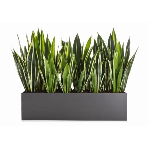 Кашпо с искусственной сансевиерией №126, В65*Д100*Ш25