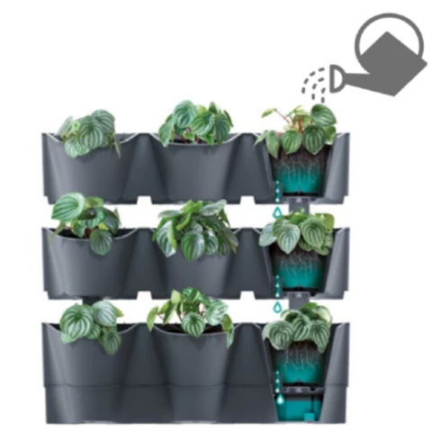 Вертикальный сад
POTS WALL