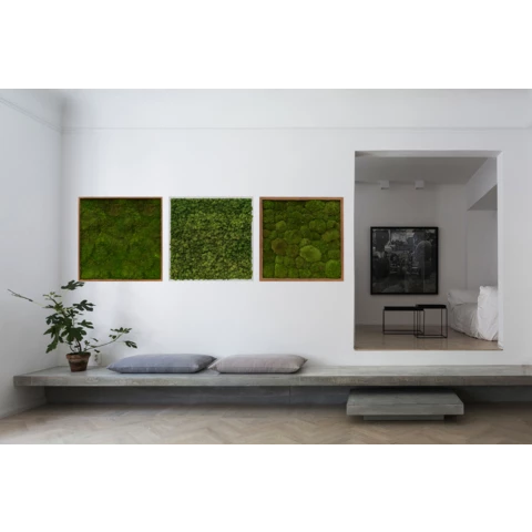 Панно из мха кочки в деревянной раме №6