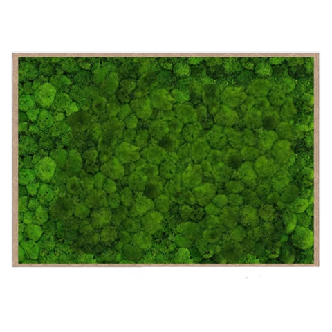 Панно из мха кочки в деревянной раме №7