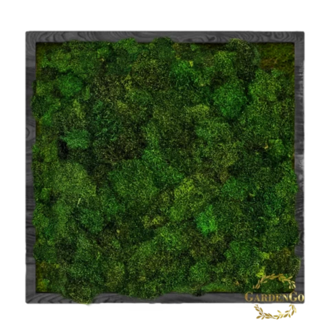 Панно из мха пласты в деревянной раме №8