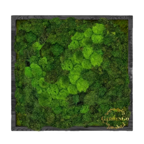 Панно из мха пласты и кочки в деревянной раме №9