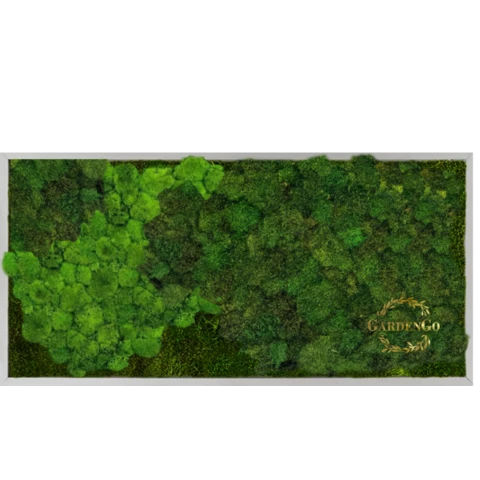 Панно из микса мхов в деревянной раме №10