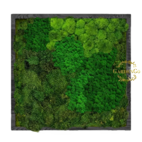 Панно из микса мхов в деревянной раме №11