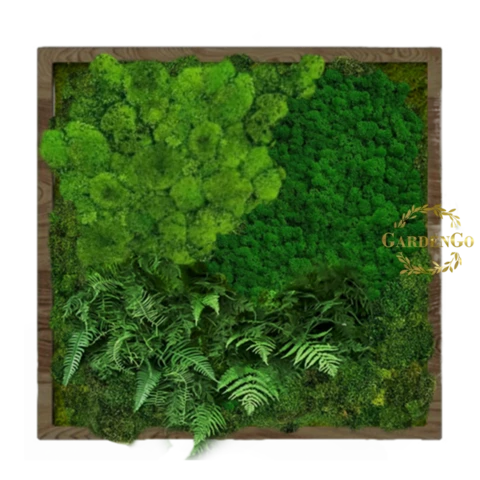 Панно из микса мхов с папоротником в деревянной раме №12