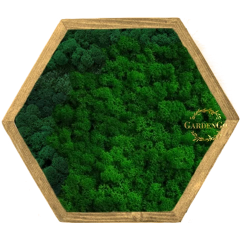 Панно СОТА из стабилизированного мха ягель в деревянной раме №19