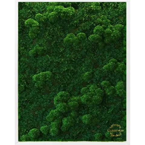 Панно из мха 