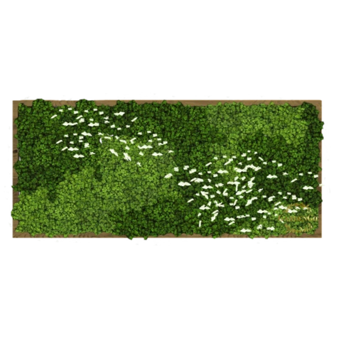 Панно из мха 