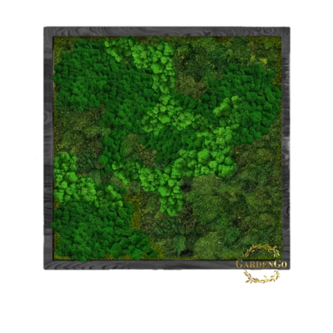 Панно из мха 