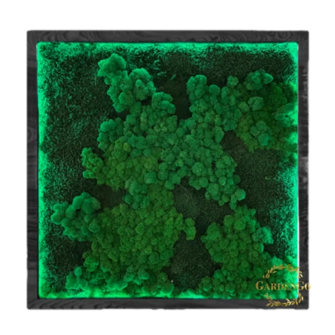 Панно из мха 