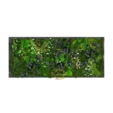 Панно из мха 