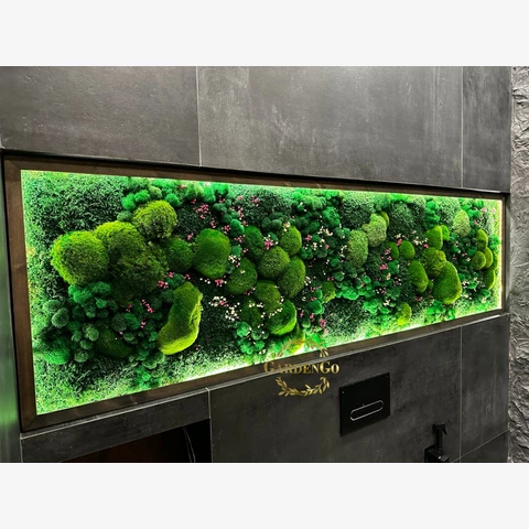 Панно из мха 