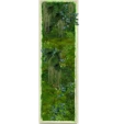 Панно из мха 