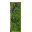 Панно из мха 