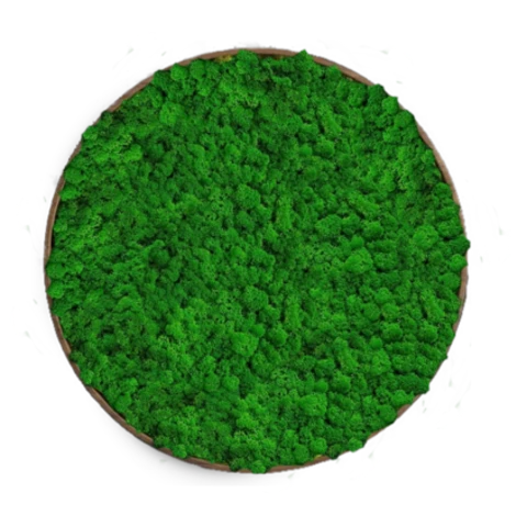 Панно из мха 