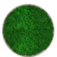 Панно из мха 