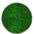 Панно из мха 