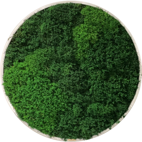 Панно из мха 