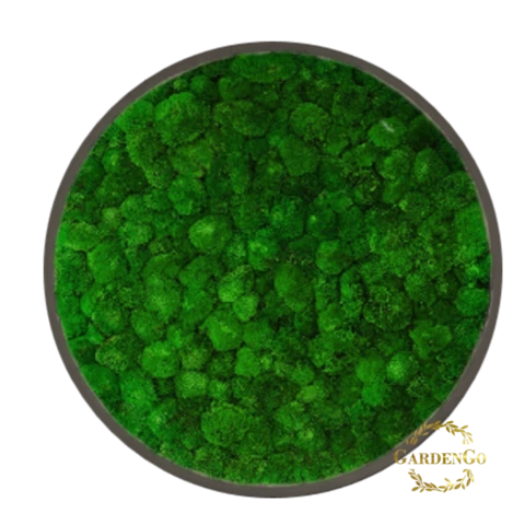 Панно из мха 