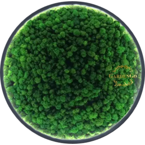 Панно из мха 