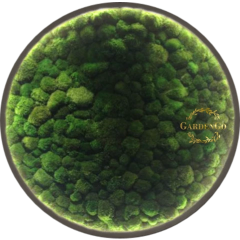 Панно из мха 