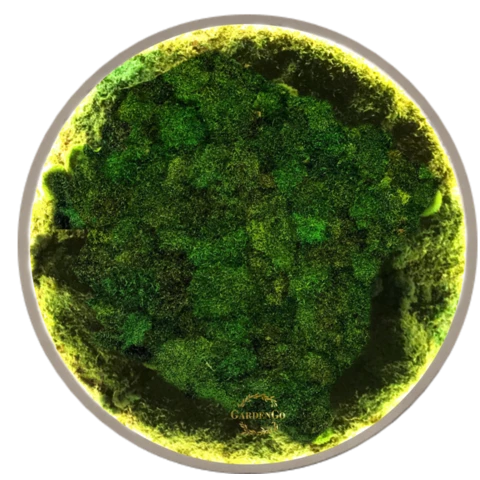 Панно из мха 