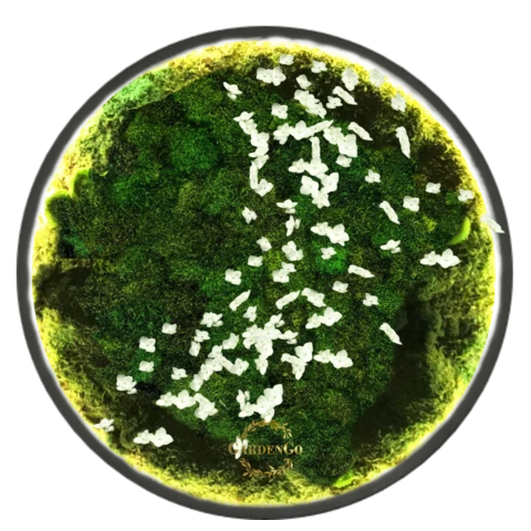 Панно из мха 