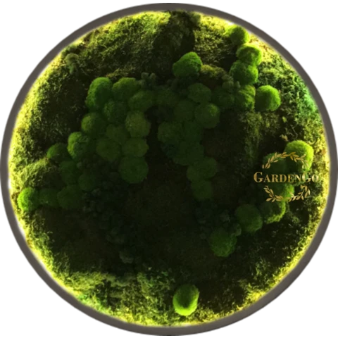 Панно из мха 