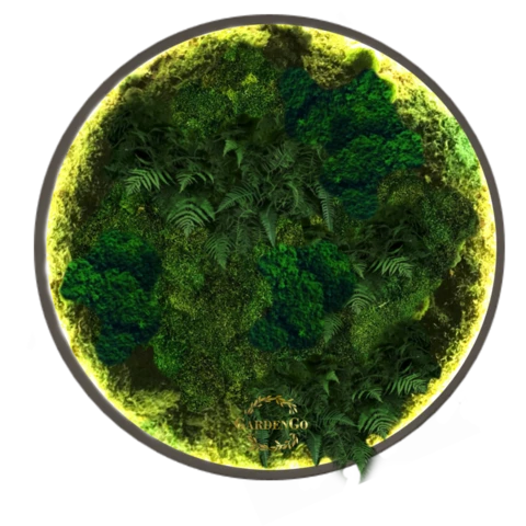 Панно из мха 