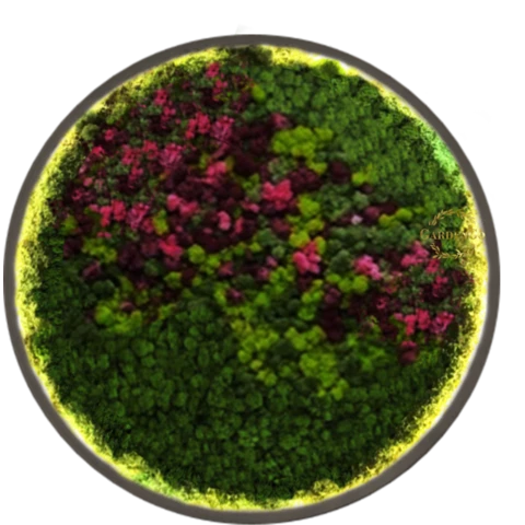 Панно из мха 