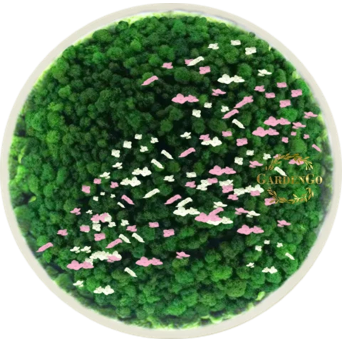 Панно из мха 