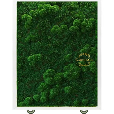 Дивайдер со стабилизированным мхом двусторонний 1