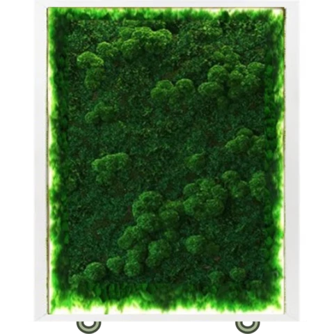 Дивайдер со стабилизированным мхом двусторонний с подсветкой 1.1