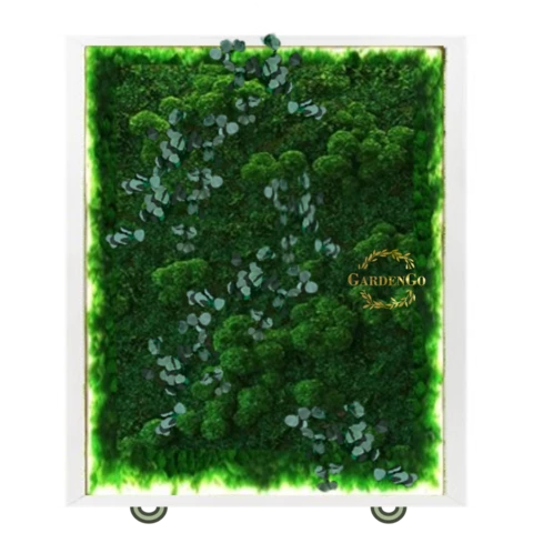 Дивайдер со стабилизированным мхом и эвкалиптом двусторонний с подсветкой 2.1