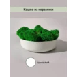 Мох ягель в белом круглом кашпо