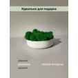 Мох ягель в белом круглом кашпо