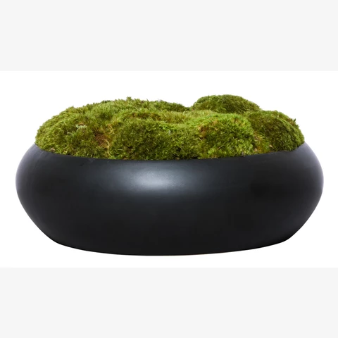 Мох пласты в чёрном круглом кашпо