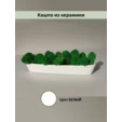 Кашпо настольное лодочка с мхом ягель
