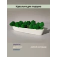 Кашпо настольное лодочка с мхом ягель