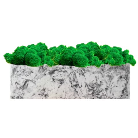 Кашпо настольное из мраморной крошки с мхом ягель