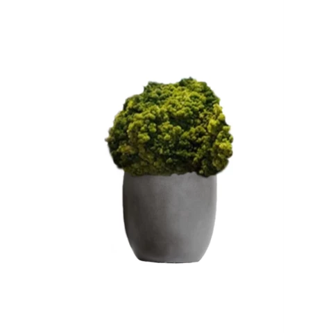 Кашпо с шаром их мха 55 см