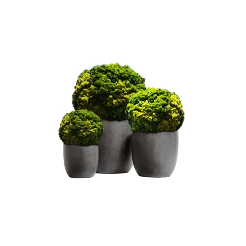 Кашпо с шаром их мха 95 см